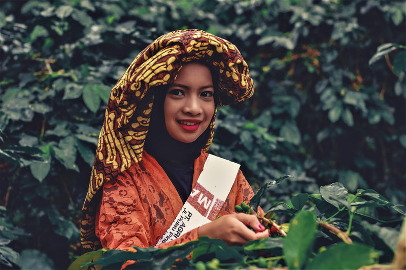 Indonesia coffee farmer kaphibeans